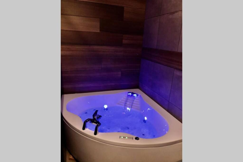 Studio Cocooning Spa, Lit Xxl, Cour Exterieure Le Puy-en-Velay Εξωτερικό φωτογραφία